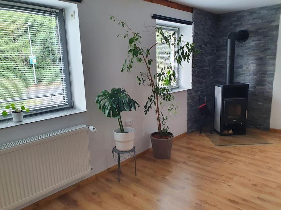 Kornhaus - Schoene Ferienwohnung Mit Pool, Kamin Und Terrasse Gottingen Exterior photo